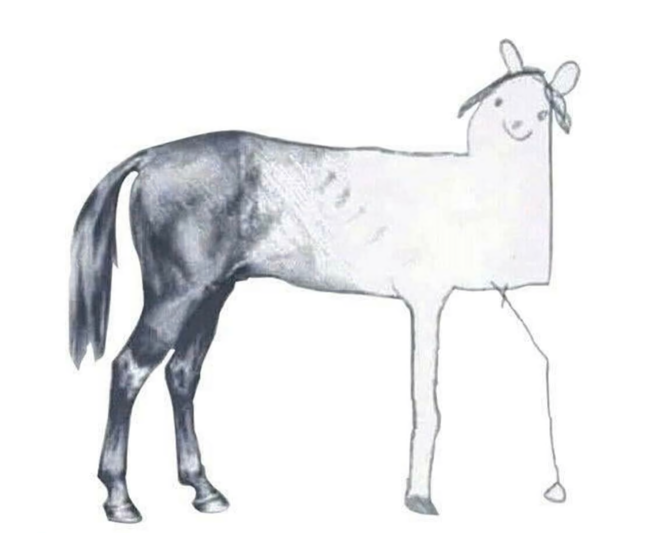 cheval horse.png