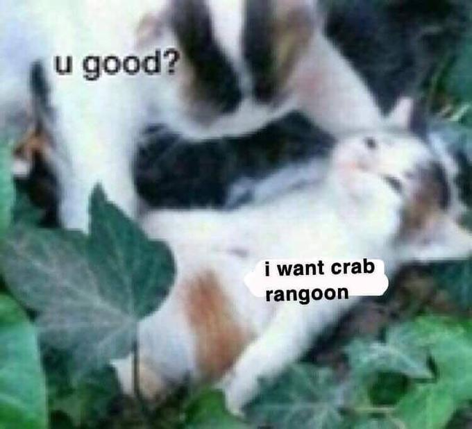 crab rangoon