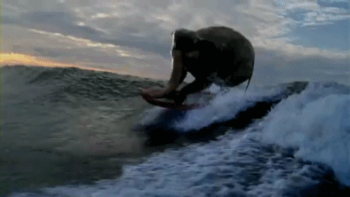 G2NTelephant surf.gif