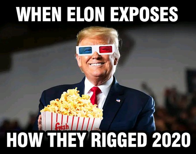 Elon Musk Google Memes (35).jpg