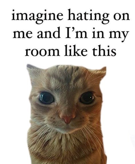 IMG_5934.jpeg