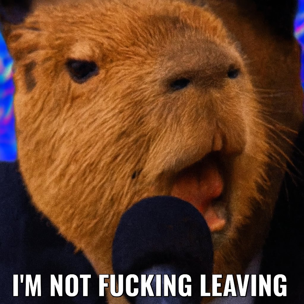 NotLeaving.jpeg