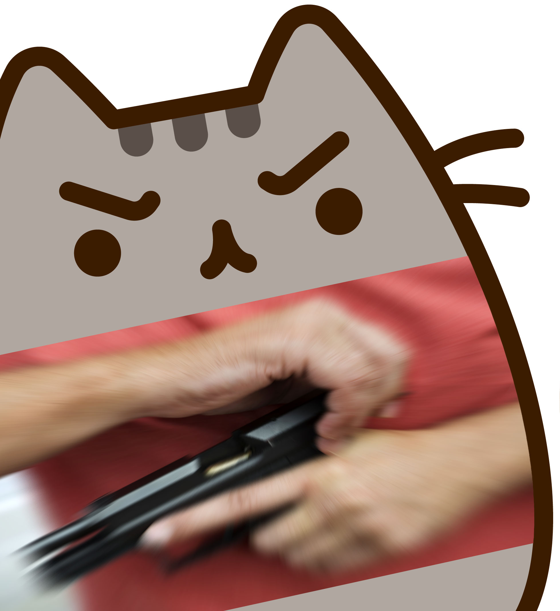 Cat reload.jpg