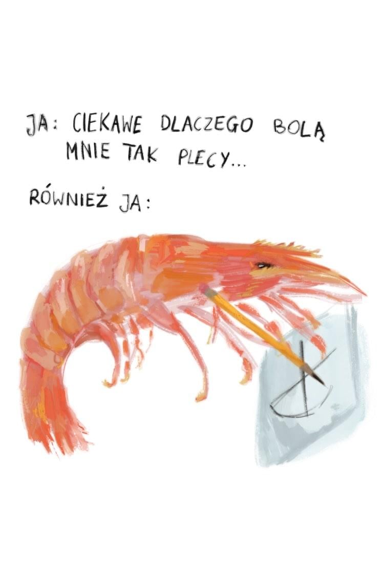 DRAWING SILESIA ORIGINAL