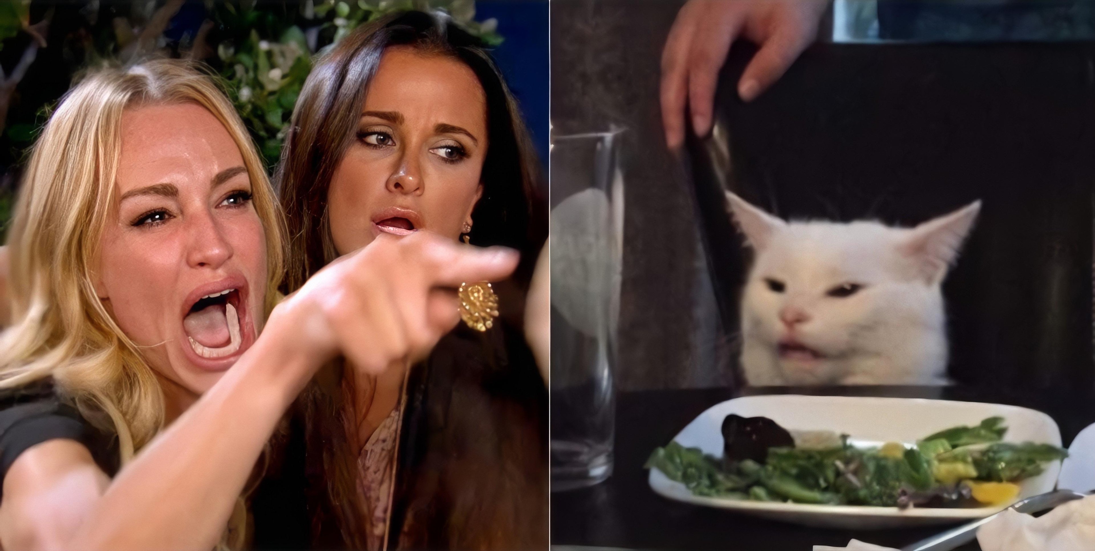 Woman Yelling At A Cat Empty Template.jpg