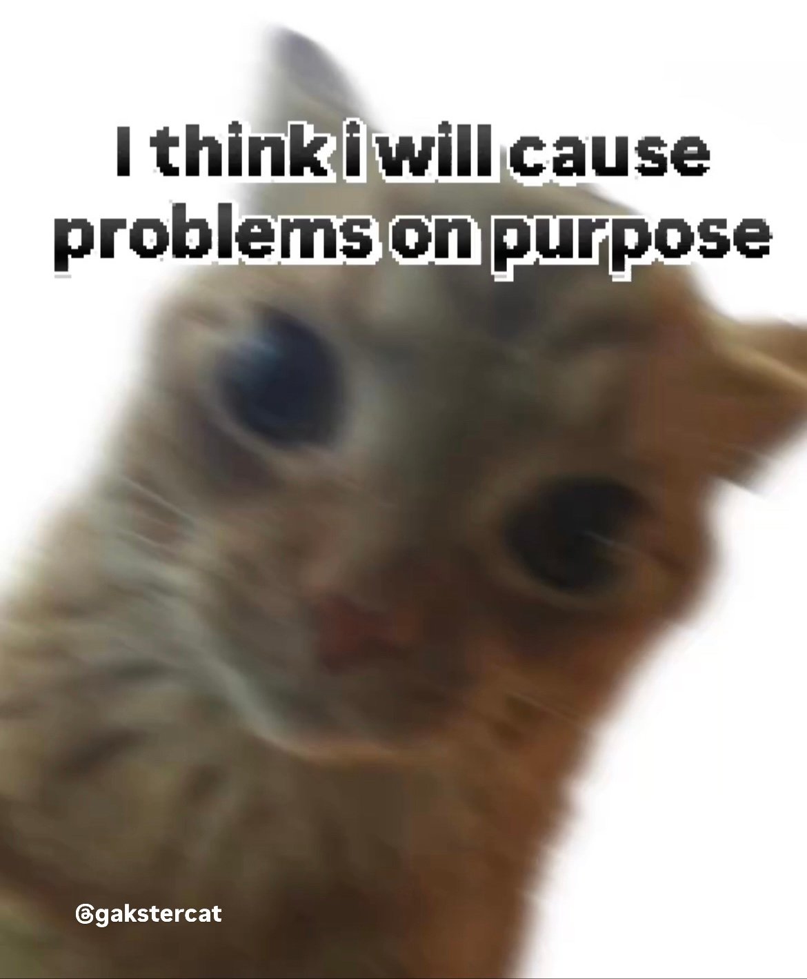 812A83EB-A639-4E8C-B439-C33F35E36F9F.jpeg