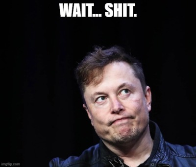 Elon Musk Google Memes (55).jpg