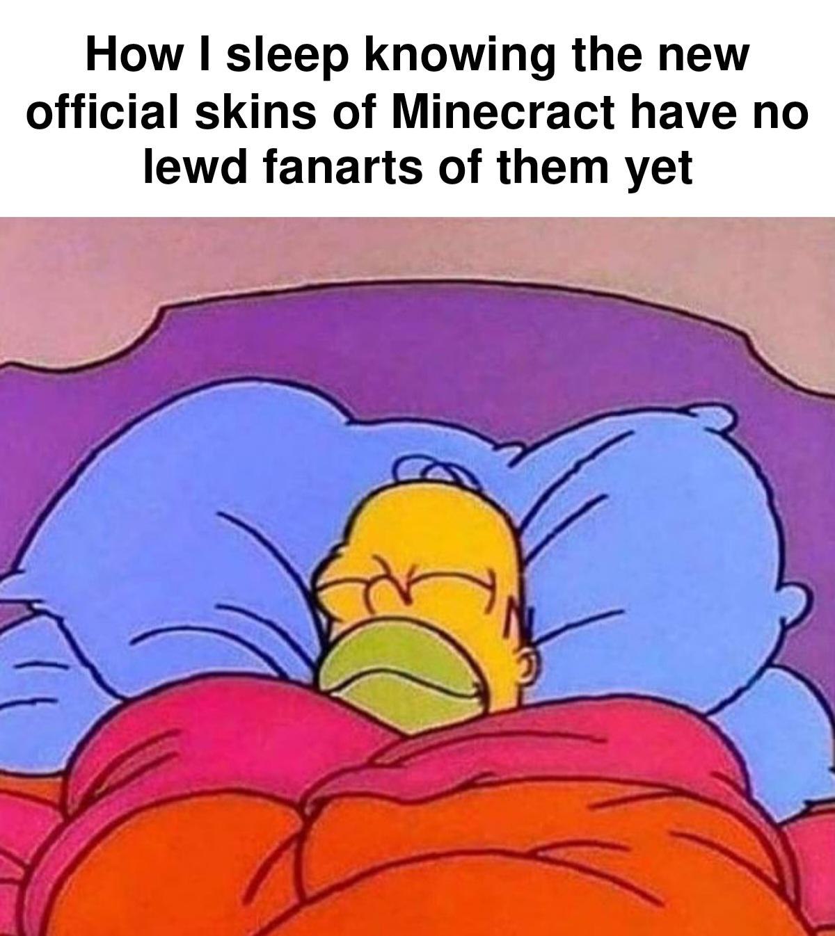 Minecraft meme folder (12973).jpg