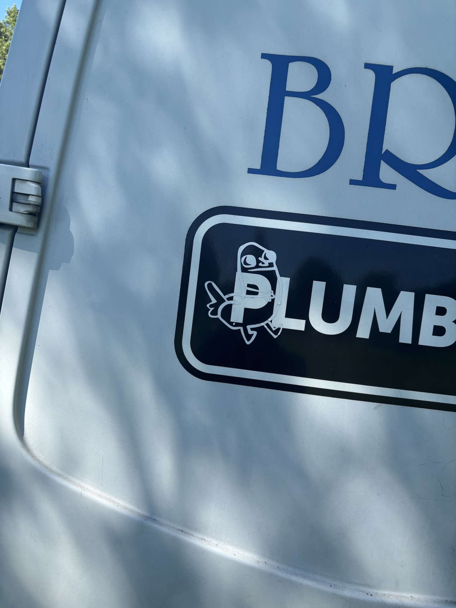 Found in the wild - Imgur.jpg