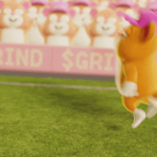 GrindWorldCupCelebrate01.gif