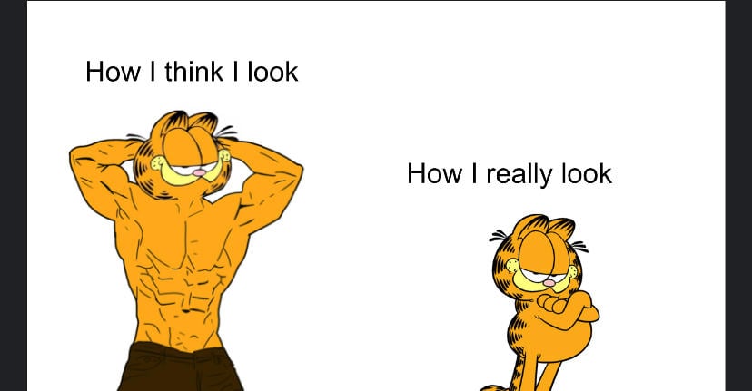 garfield_meme_by_artguywhosabsessedwi_dfs0ucp-fullview.jpg