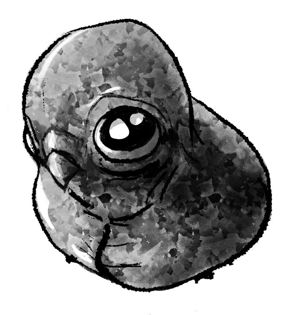 photo_2025-03-27_17-39-58 (2).jpg