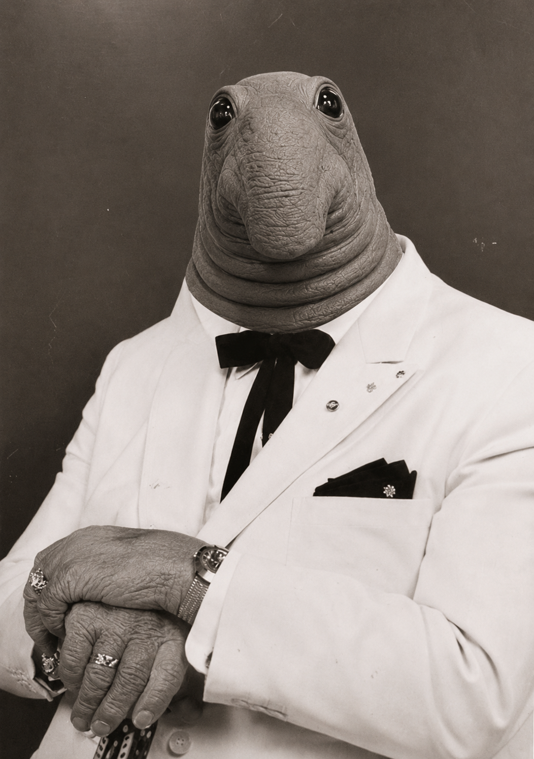 1000040916.png
