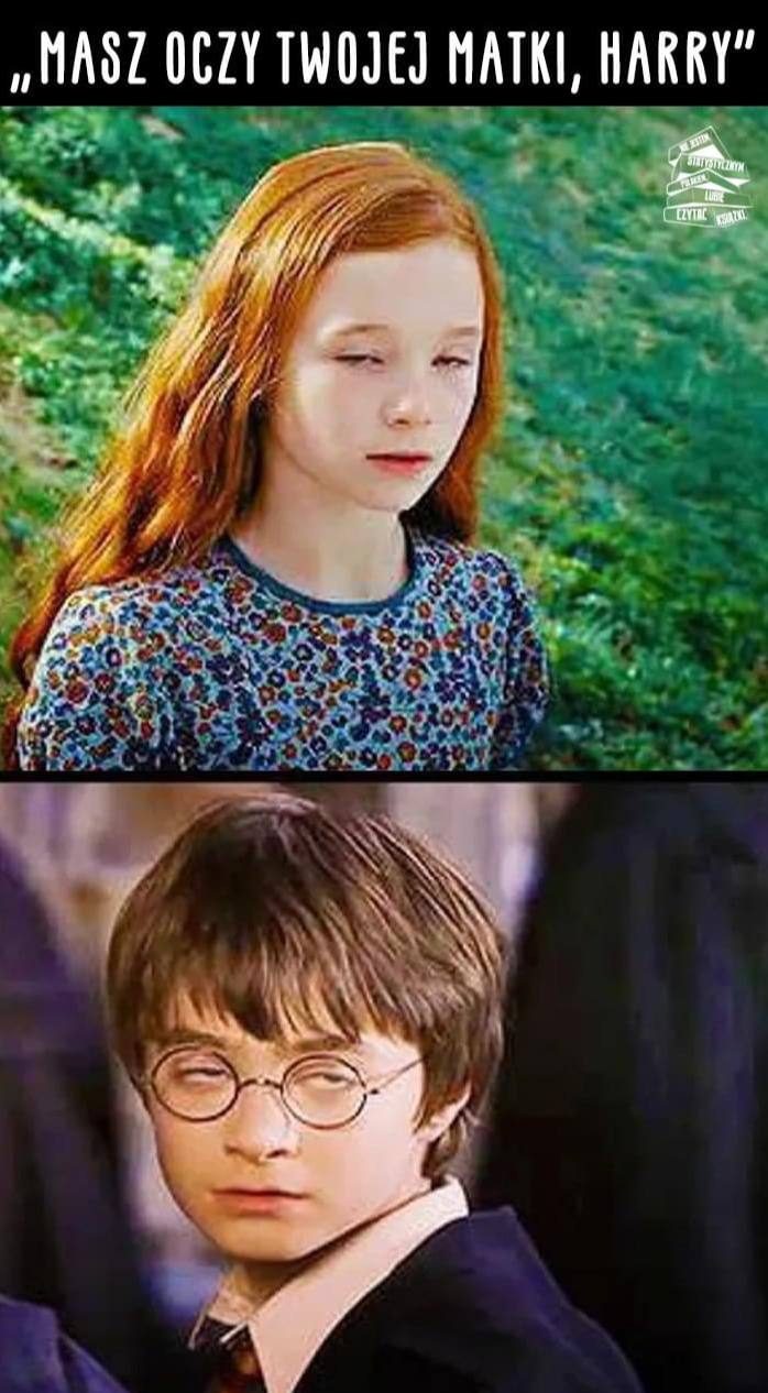 Best Polish Memes (1091).jpg