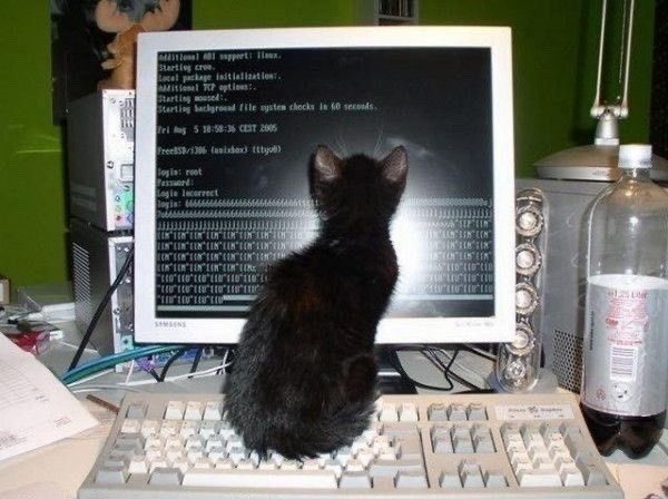 RT @OldInternetFeel: https://t.co/gZT8YxgrFN