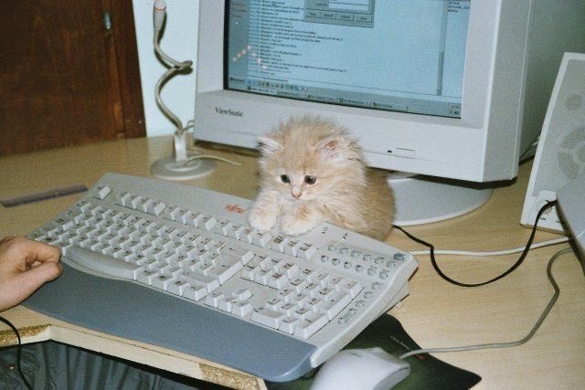 RT @OldInternetFeel: https://t.co/gZT8YxgrFN