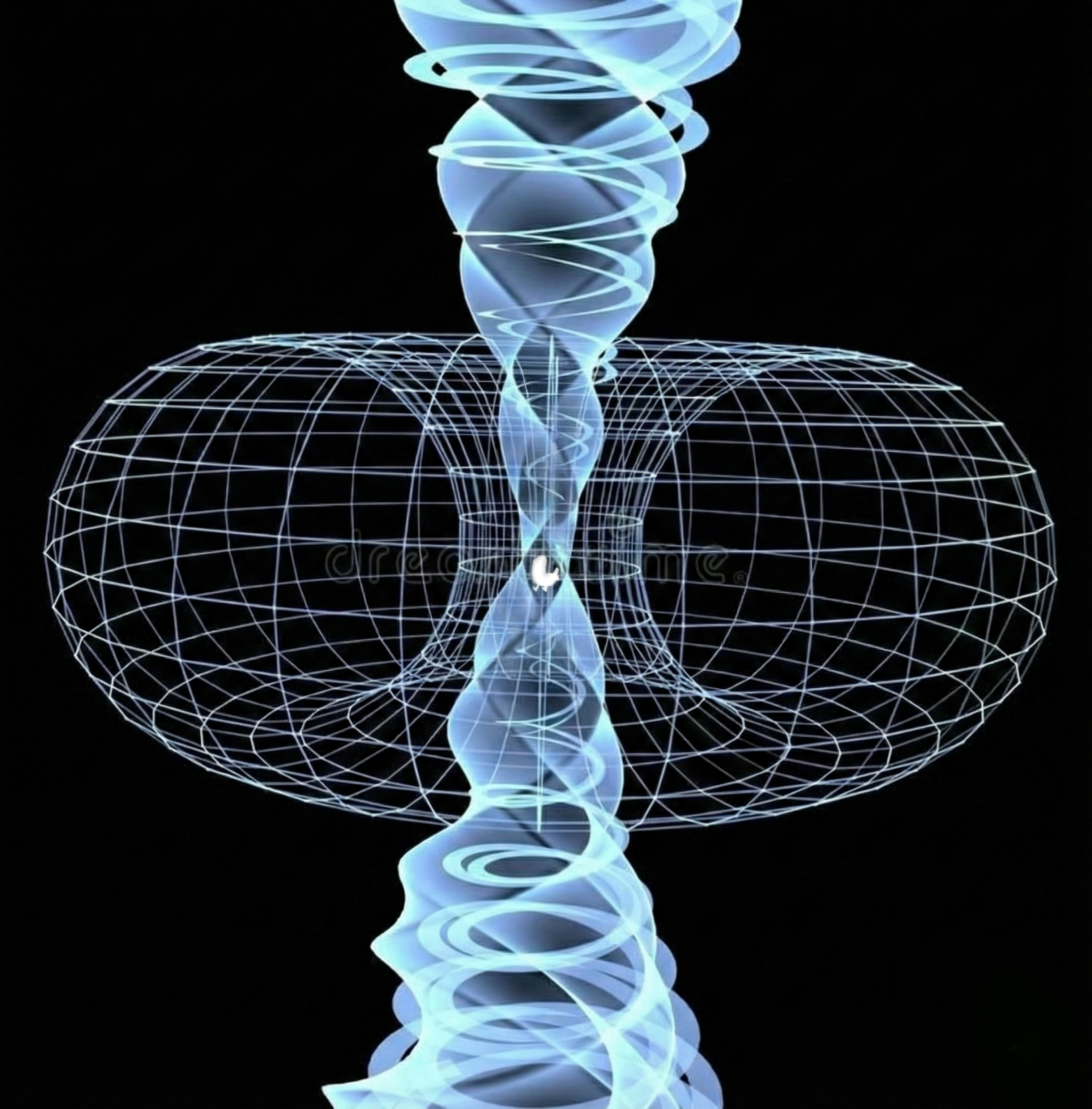 Untitled340_20260116141611 1.jpg