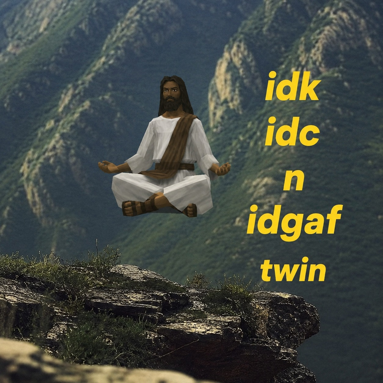idk idc n idgaf twin