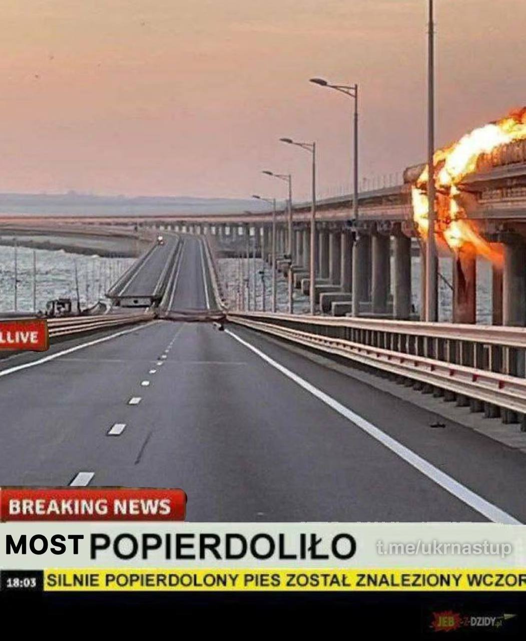 Best Polish Memes (1126).jpg