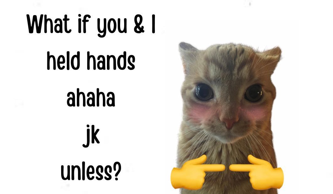 IMG_4370.jpeg