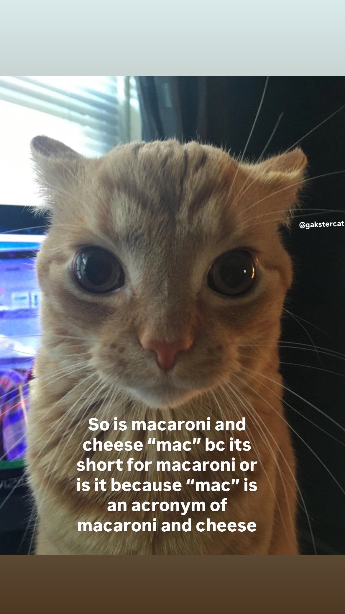 5FDA0E9B-72B1-48C2-A2B7-8188AC2DB61D.jpeg