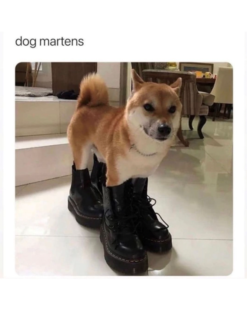 dog-martens.png