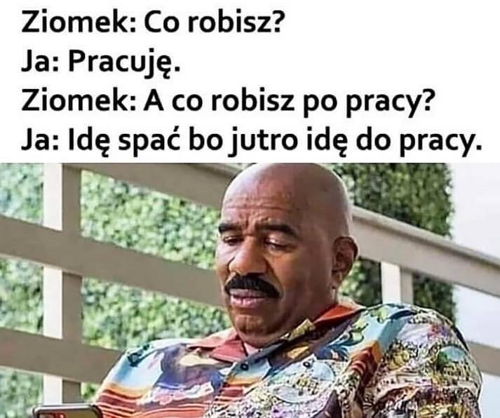 Best Polish Memes (1108).jpg