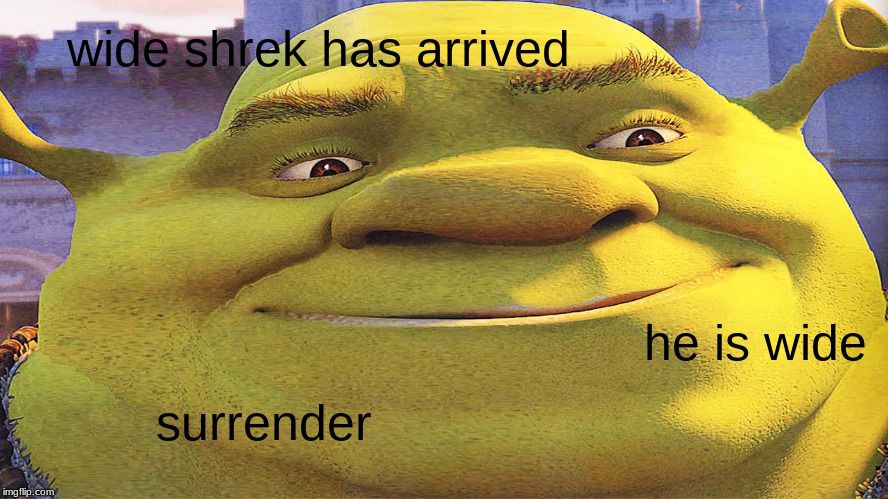 14a8nxo-Wide_Shrek-hybjwjqqy76b1.jpg