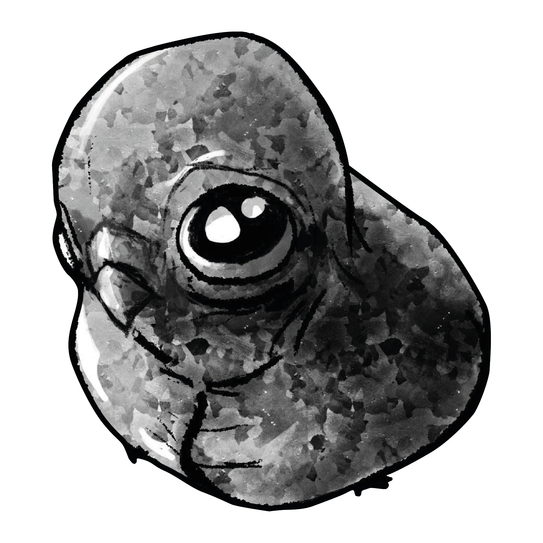 3_Obszar roboczy 1.png