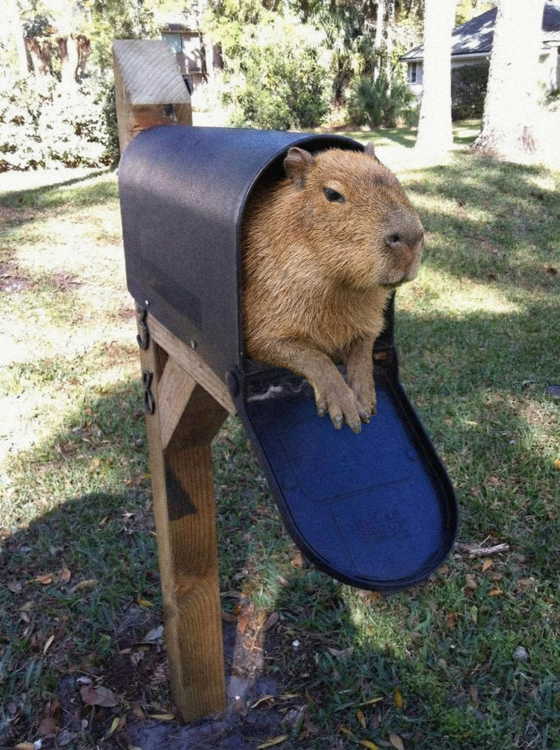 mail.png