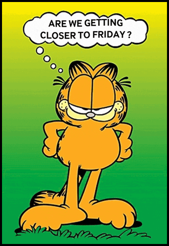 garfield-friday.gif