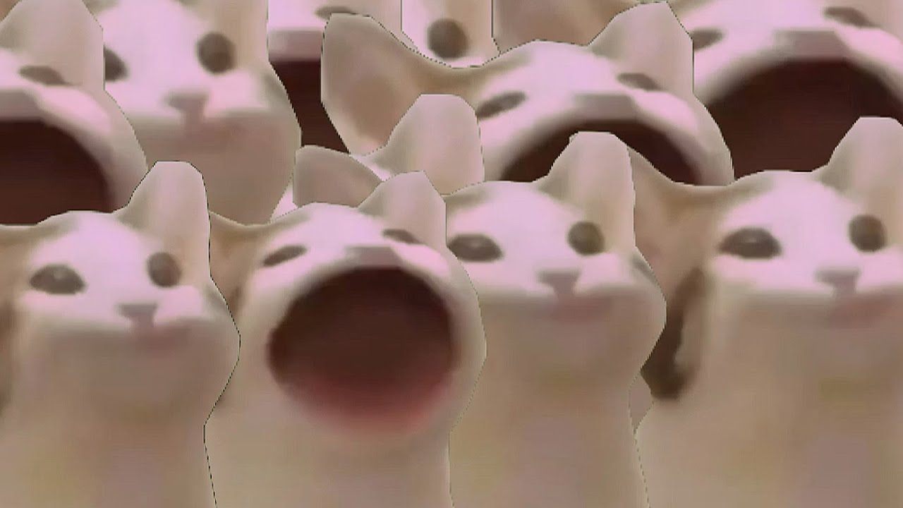 pop cat v2.jpg