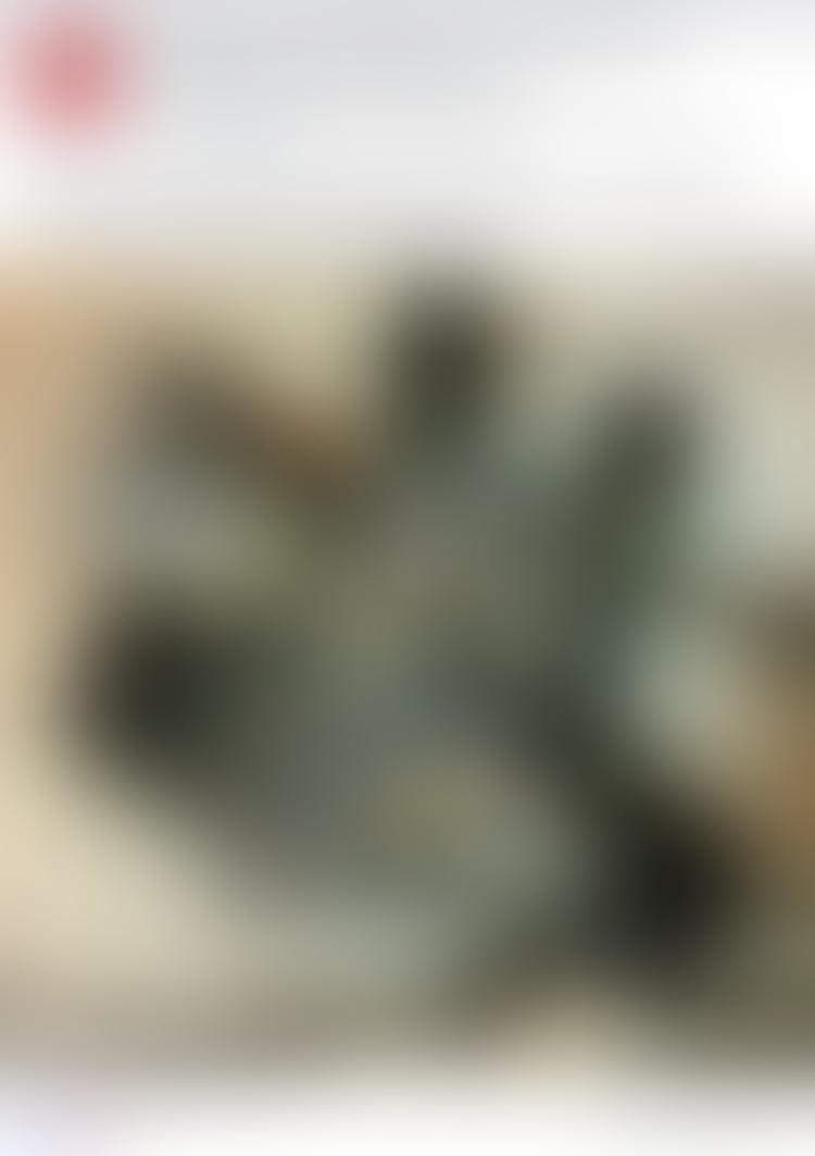 undefined - Imgur (88).jpg