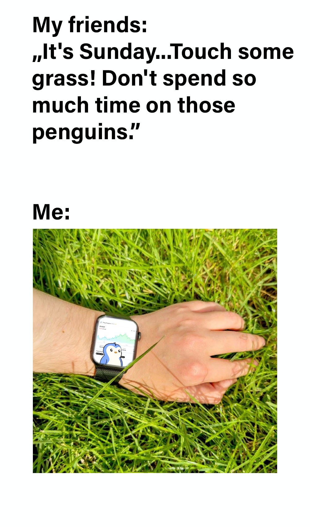 penguwatch.jpg